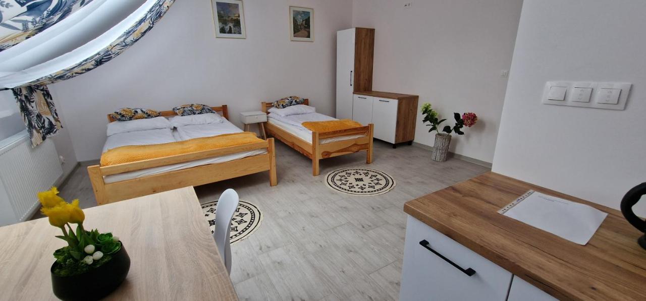 Zielona Ostoja Ulica Szpitalna 3C Apartment Kamieniec Zabkowicki ภายนอก รูปภาพ